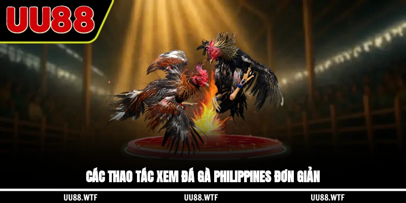 Các thao tác xem đá gà Philippines đơn giản