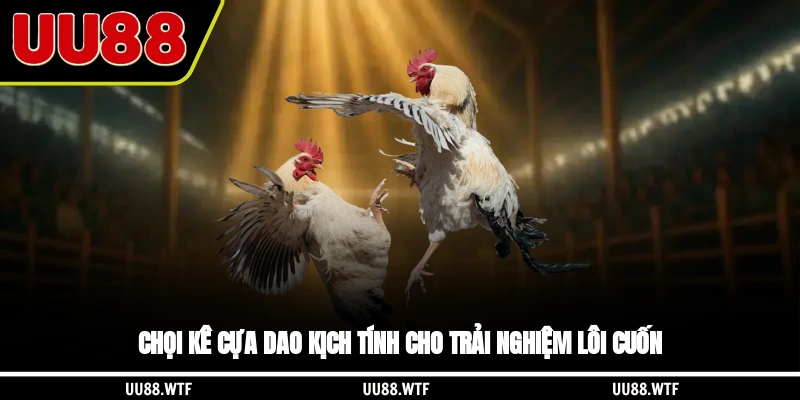 Chọi kê cựa dao kịch tính cho trải nghiệm lôi cuốn