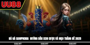 Đá gà Campuchia - Hướng Dẫn Xem, Cược Và Mẹo Thắng Dễ 2025