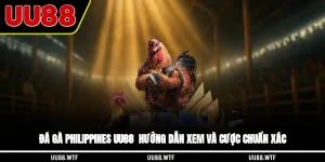 Đá Gà Philippines UU88 - Hướng Dẫn Xem Và Cược Chuẩn Xác