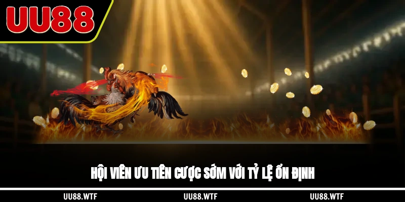 Hội viên ưu tiên cược sớm với tỷ lệ ổn định