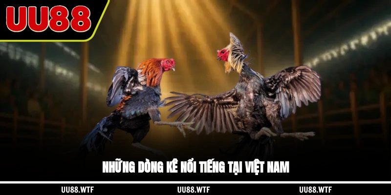 Những dòng kê nổi tiếng tại Việt Nam