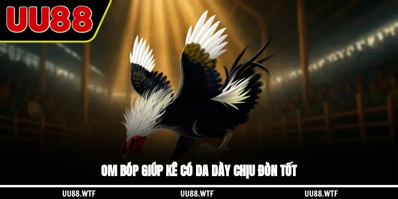 Om bóp giúp kê có da dày, chịu đòn tốt