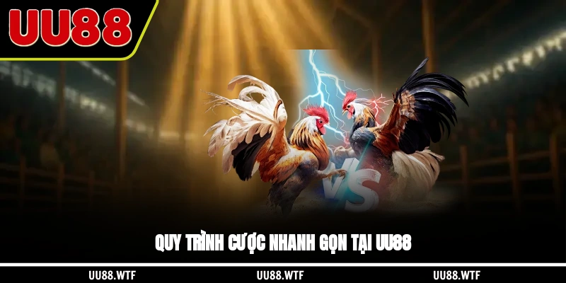 Quy trình cược nhanh gọn tại UU88